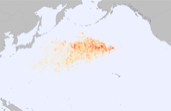 tsunami debris