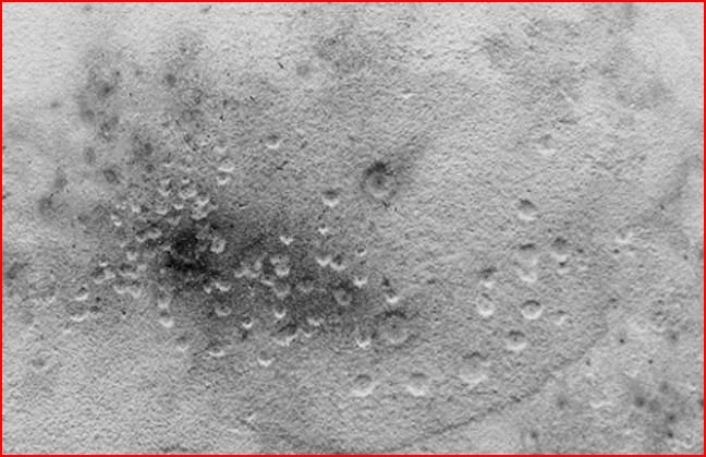 040702craters.jpg