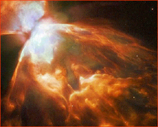 050426bug-nebula.gif