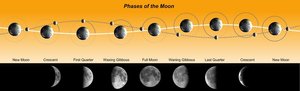 750px-Phases_of_the_Moon.jpg