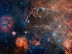 The Vela supernova remnant