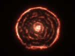 “Hairy ring” and “sputtering spiral” around the star R Sculptoris. Consensus theories shuffle shells. Credit: ALMA (ESO/NAOJ/NRAO)