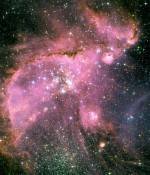 "Young stars" in NGC 346 within the Small Magellanic Cloud.
Credit: NASA, ESA, and A. Nota (STScI/ESA)