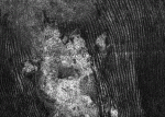 Thousands of dune-like features on Titan. Credit: NASA/JPL/Cassini-Equinox.