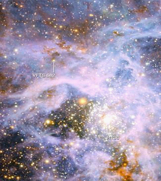  Star-Forming Region Around the Tarantula Nebula