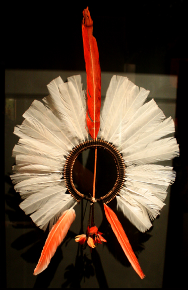 Kayapo headdress, C. 1910