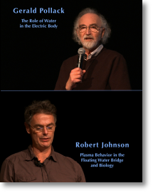 Gerard Pollack and Robert Johnson eu2012 lectures