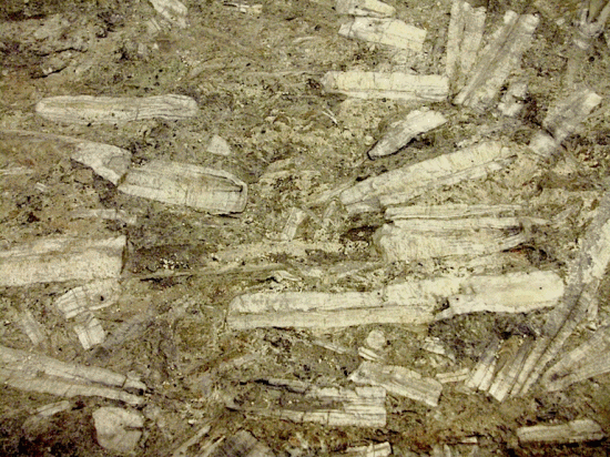 ‘Thunderstones’ in the form of fossil belemnites (Belemnitidia)