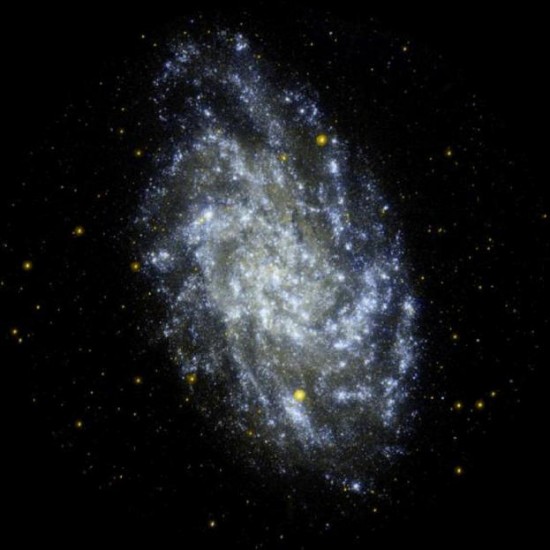 The Triangulum Galaxy (M33) in ultraviolet light. Credit: Galaxy Evolution Explorer/NASA/JPL-Caltech.