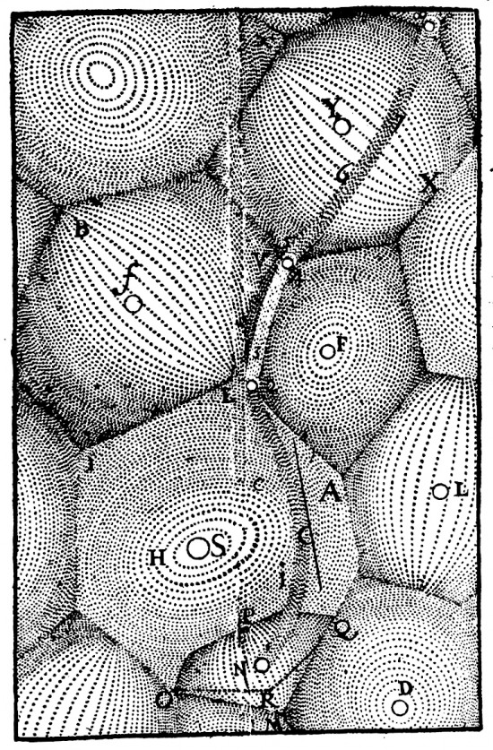 An impression of Descartes' vortex theory. © Renatus des-Cartes, Principia Philosphiæ (Amsterdam: Ludovicus Elzevirius, 1644): 78, 92, 96, 153, 158, 163, 165, 169, 171