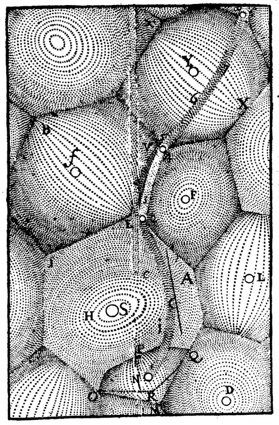 Descartes Theory Of Reasoning