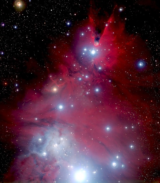 The Christmas Tree Cluster (NGC 2264). Credit: ESA/NASA