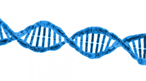 DNA dna-1370603787LgY