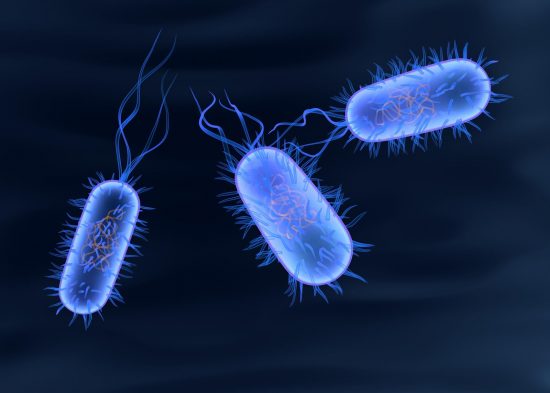 electricity-of-life-greg_bacteria