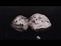 Space News -- comets anniversary