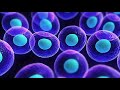 Space News -- Electric Water Potential