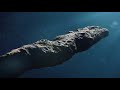 Space News -- Eugene Bagashov Oumuamua
