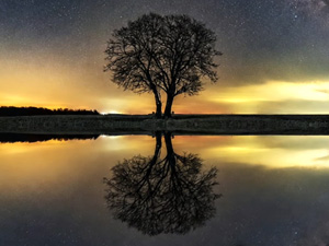 Ev Cochrane: Creation Above, Creation Below | Thunderbolts